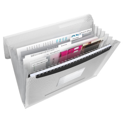 Teczka z przegródkami Esselte Vivida, biały