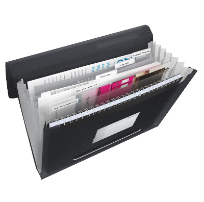 Teczka z przegródkami Esselte Vivida, czarny