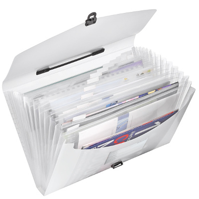 Teczka z przegródkami i rączką Esselte Vivida, biały