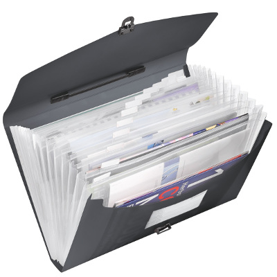 Teczka z przegródkami i rączką Esselte Vivida, czarny