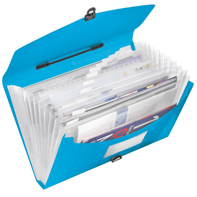 Teczka z przegródkami i rączką Esselte Vivida, niebieski