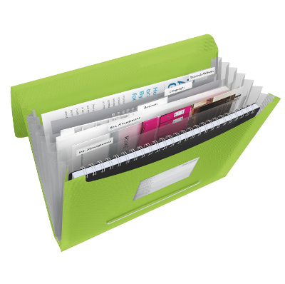 Teczka z przegródkami Esselte Vivida, zielony