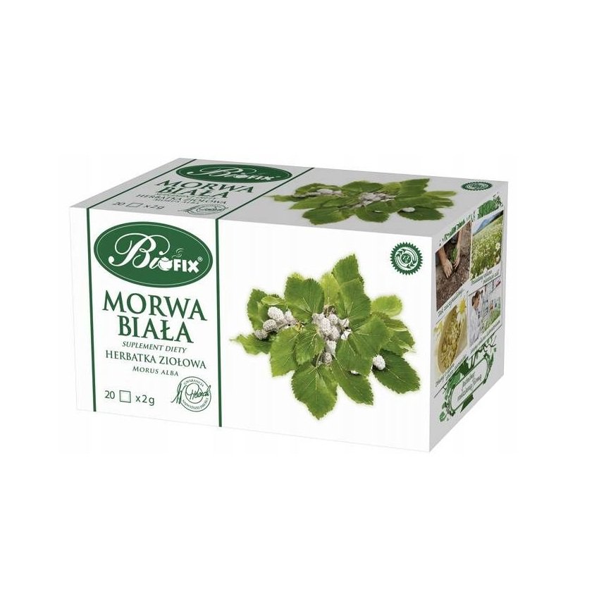 Herbata BIOFIX Morwa Biała 20t ziołowa 