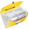 Teczka z przegródkami i rączką Esselte Vivida, żółty