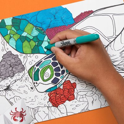 Zestaw markerów Sharpie eye (oko), 30 sztuk